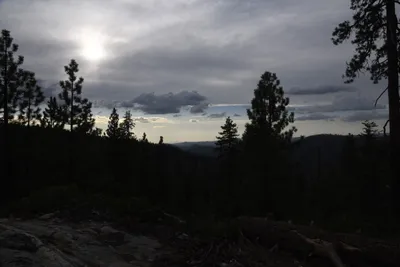 DSC_4501 (Large).JPG